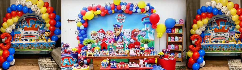 Paw Patrol Birthday Theme Kit Snow Fair