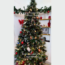 Load image into Gallery viewer, 5ft Venetian Noble Fir Christmas Tree - Buy Online
